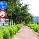 정동1교 이미지