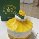 망고비어 | 대구 케이크 맛집 시즈니크 망고 미니케이크 가격 후기