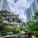 13단지힐마스터부동산공인중개사사무소 이미지