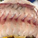 풍성횟집 | 아름다운 정동진과 함께한 어부횟집, 풍성한 대게와 매운탕 후기