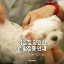 옥수수 동물병원 | 🐾 가을철 광견병 예방접종으로 반려동물을 지켜주세요!