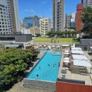 메종 글래드 제주  실외수영장 | 메종 글래드 제주 수영장 이용후기