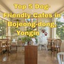 타카독스 커피 | 용인 보정동 강아지와 함께 가기 좋은 애견동반 카페 TOP 5 추천