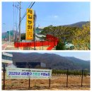 열심농장 | 서대문구 주말농장 텃밭 가꾸기 참여 후기(feat:4~5월 텃밭 농사 기록)