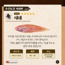 서대2 이미지