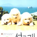 다솔 이미지
