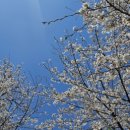 어진동_호수공원수변공원 이미지