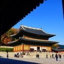 은송이네 이미지