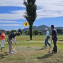 파크골프 이미지