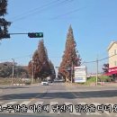 조아공인중개사사무소 이미지