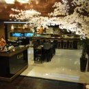 엑스포긴자 이미지