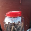 송담1로 이미지