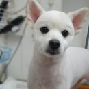 짱구네동물병원 이미지