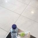 백패커스홈투 | 10월 가을 제주도 게하 훅이훅이