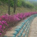 미래조경자재 네이버블로그