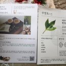 수망912 | 부모님건강선물로 수망912 제주 건조 황칠나무 잎 추천해요