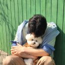 bean폴 댕댕이 견주님 인별펌(+댕댕이랑 같이 나오는 광고 동영상 추가) 이미지