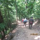 매산목장 이미지