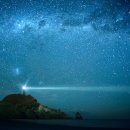 꿈이 자라는 나무 이미지