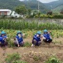 하동군고전면성천보건진료소 이미지