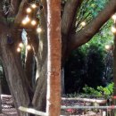 제주랜드 이미지