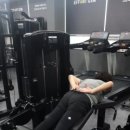 에퍼트짐 이미지