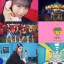 쪼꼬미네 이미지