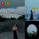 강릉 하슬라아트월드 후기 | 입장료부터 포토존까지, 흐린 날 더 아름다웠던 여행