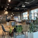 비양도 봄날 민박 이미지