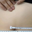 예신대전 네이버블로그