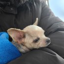 한수동물병원 이미지