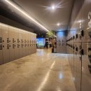 플러스골프아카데미 | 구파발 골프레슨 렉스골프 GDR+골프아카데미 다녀온 후기