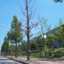 권선3공원 이미지