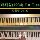 바위섬 Fur Elise(김원중-C-113) 이미지