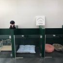 까꿍펫살롱 이미지