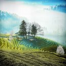 대한다원화장실 이미지