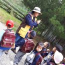 봉의초등학교 병설유치원 이미지