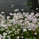 율곡수목원(2) 이미지