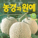 부여원예영농조합 이미지