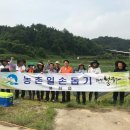 봉화읍사무소 이미지