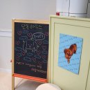 단독 dandog 이미지