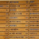 모리커피양산
