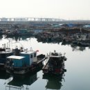 도장포어촌체험마을 이미지