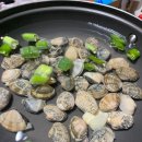동백수산 - 전주시 완산구 서신천변15길 15-5 | 동백수산