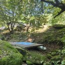 무릉도원면-24 이미지