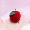 사과네 케이스