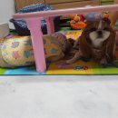 몽몽이# 이미지