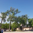 진아전자 이미지