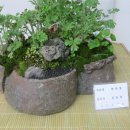 유달초등학교 이미지