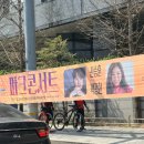 교촌치킨 미금점 | 2026년 성남 파크콘서트 팔찌 받는 방법 (신승훈, 박정현)